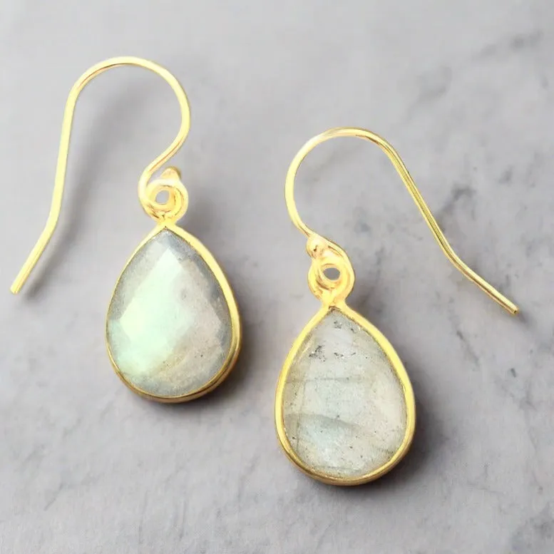 Andi Small Labradorite Dangle Earrings