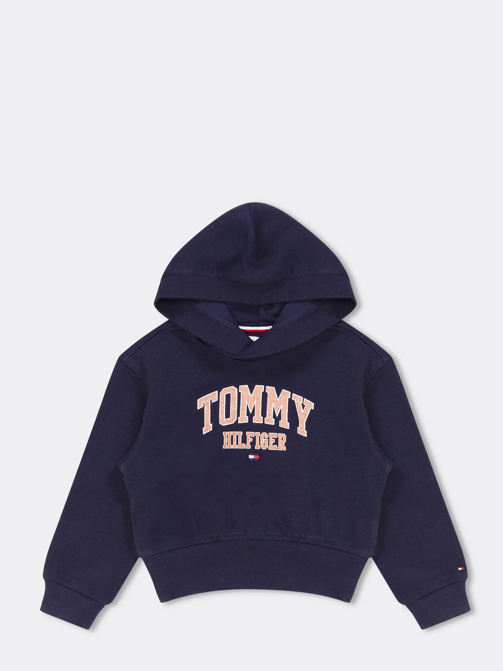 Essential Varsity Hoodie | Hoodies | Tommy Hilfiger